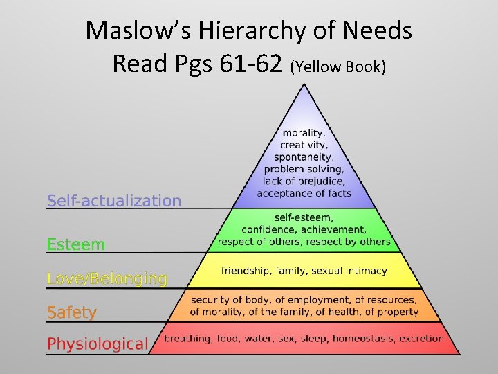 Maslow’s Hierarchy of Needs Read Pgs 61 -62 (Yellow Book) 