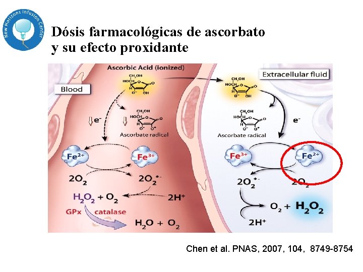 Dósis farmacológicas de ascorbato y su efecto proxidante Chen et al. PNAS, 2007, 104, Dósis farmacológicas de ascorbato y su efecto proxidante Chen et al. PNAS, 2007, 104,