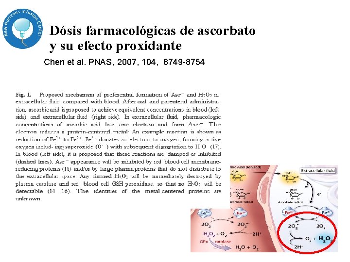 Dósis farmacológicas de ascorbato y su efecto proxidante Chen et al. PNAS, 2007, 104, Dósis farmacológicas de ascorbato y su efecto proxidante Chen et al. PNAS, 2007, 104,
