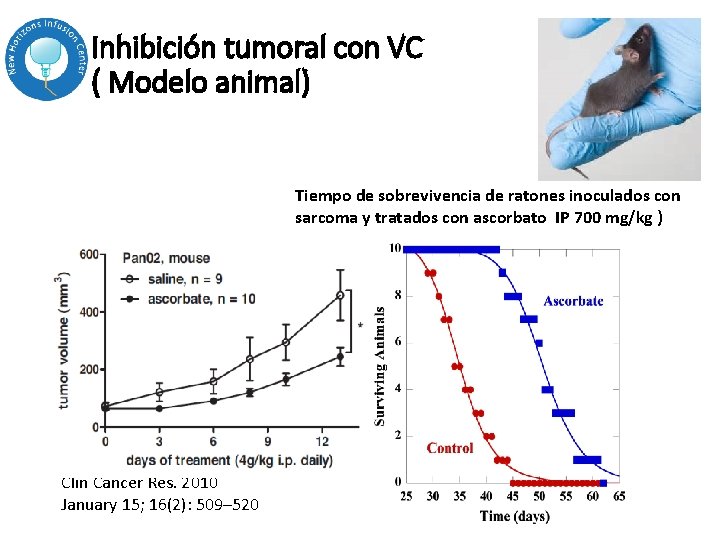 Inhibición tumoral con VC ( Modelo animal) Tiempo de sobrevivencia de ratones inoculados con Inhibición tumoral con VC ( Modelo animal) Tiempo de sobrevivencia de ratones inoculados con