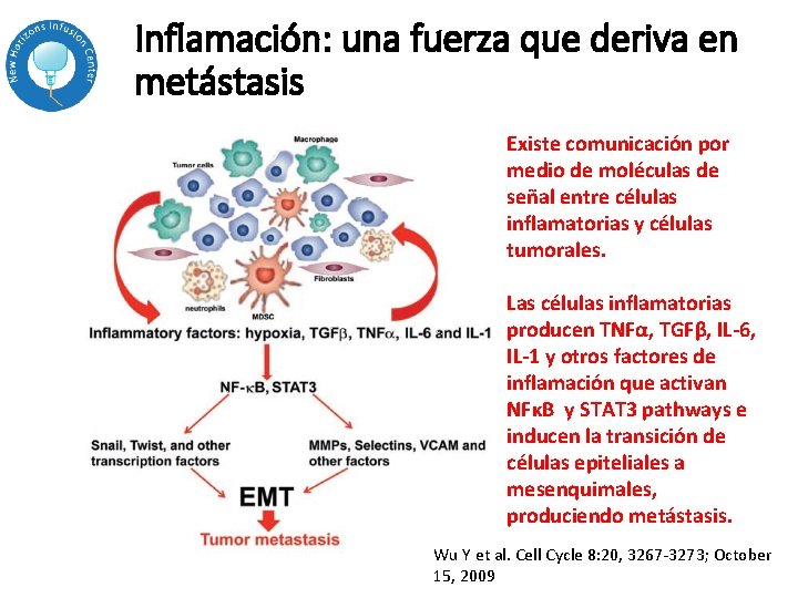 Inflamación: una fuerza que deriva en metástasis Existe comunicación por medio de moléculas de Inflamación: una fuerza que deriva en metástasis Existe comunicación por medio de moléculas de