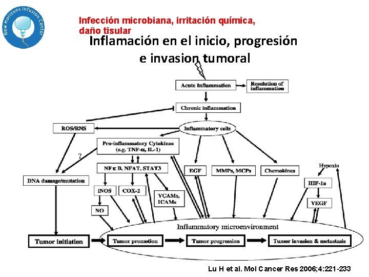 Infección microbiana, irritación química, daño tisular Inflamación en el inicio, progresión e invasion tumoral Infección microbiana, irritación química, daño tisular Inflamación en el inicio, progresión e invasion tumoral