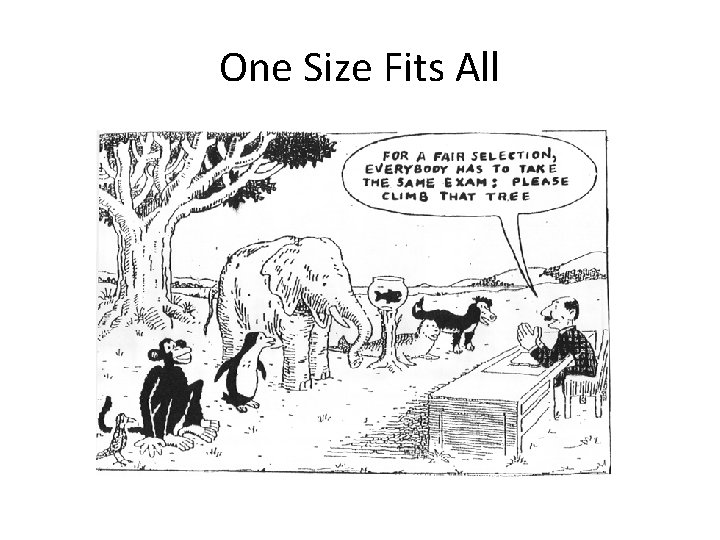 One Size Fits All 