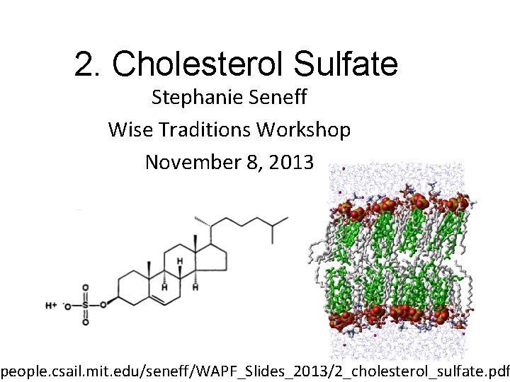 2. Cholesterol Sulfate Stephanie Seneff Wise Traditions Workshop November 8, 2013 people. csail. mit.