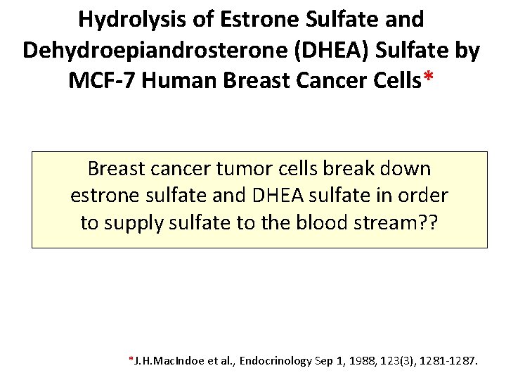 Hydrolysis of Estrone Sulfate and Dehydroepiandrosterone (DHEA) Sulfate by MCF-7 Human Breast Cancer Cells*