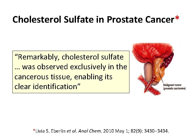 Cholesterol Sulfate in Prostate Cancer* “Remarkably, cholesterol sulfate … was observed exclusively in the