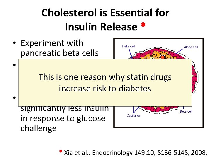 Cholesterol is Essential for Insulin Release * • Experiment with pancreatic beta cells •