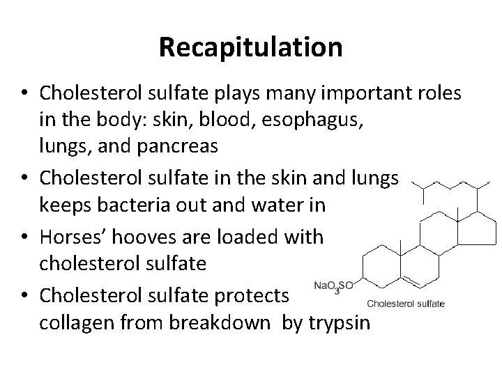 Recapitulation • Cholesterol sulfate plays many important roles in the body: skin, blood, esophagus,