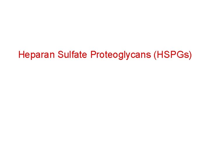 Heparan Sulfate Proteoglycans (HSPGs) 