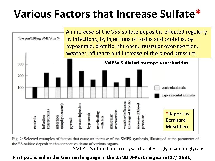 Various Factors that Increase Sulfate* An increase of the 35 S-sulfate deposit is effected