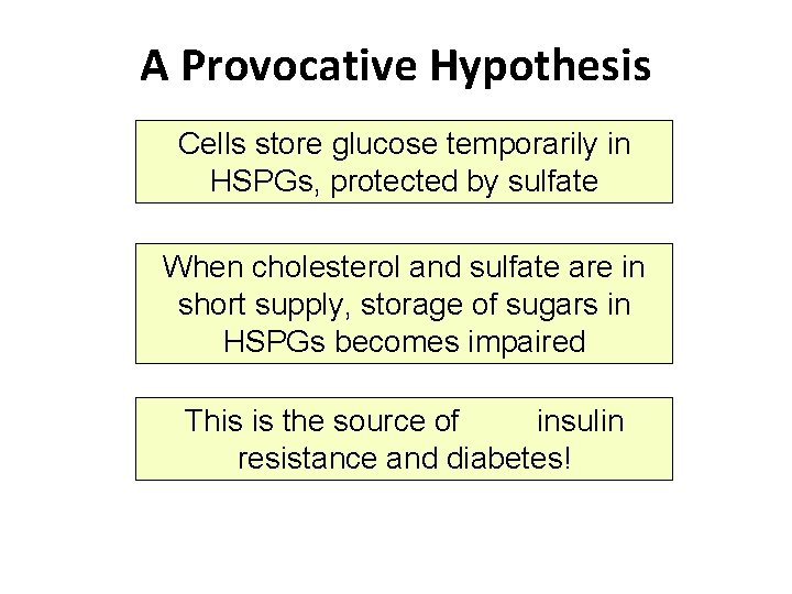 A Provocative Hypothesis Cells store glucose temporarily in HSPGs, protected by sulfate When cholesterol