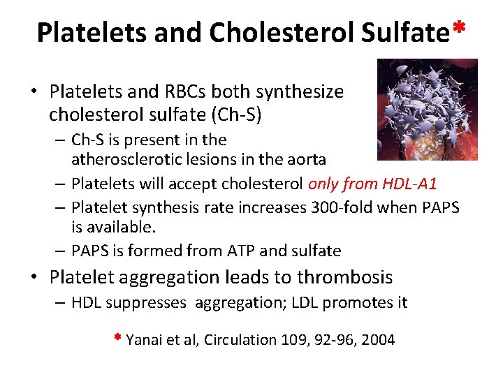 Platelets and Cholesterol Sulfate* • Platelets and RBCs both synthesize cholesterol sulfate (Ch-S) –