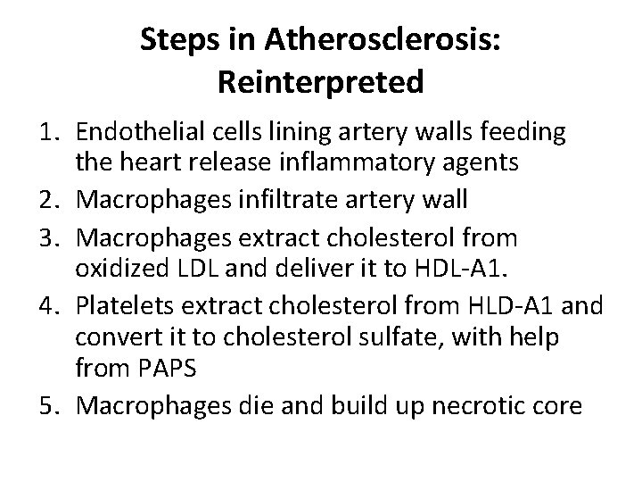 Steps in Atherosclerosis: Reinterpreted 1. Endothelial cells lining artery walls feeding the heart release