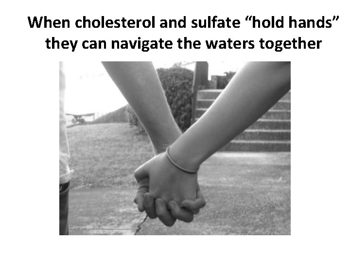When cholesterol and sulfate “hold hands” they can navigate the waters together 