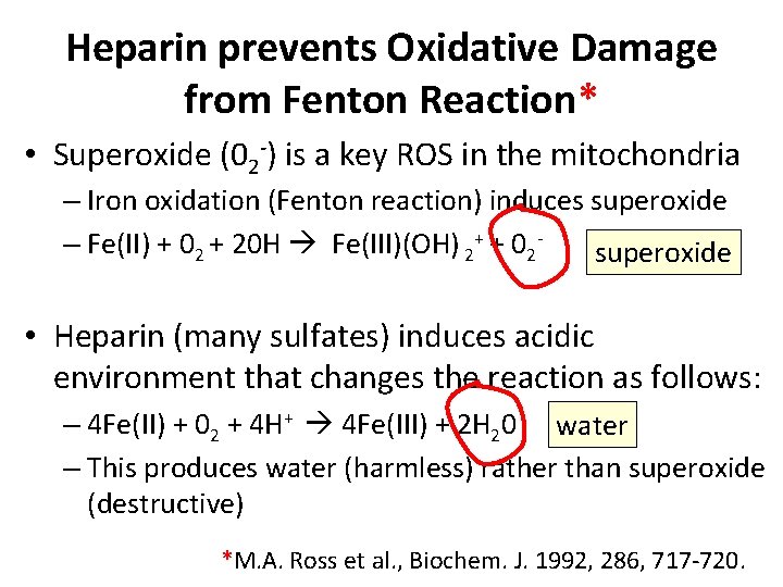 Heparin prevents Oxidative Damage from Fenton Reaction* • Superoxide (02 -) is a key