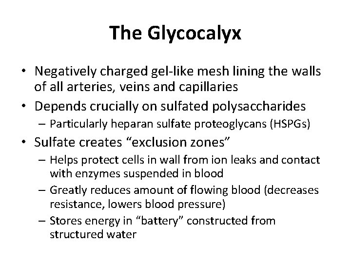 The Glycocalyx • Negatively charged gel-like mesh lining the walls of all arteries, veins