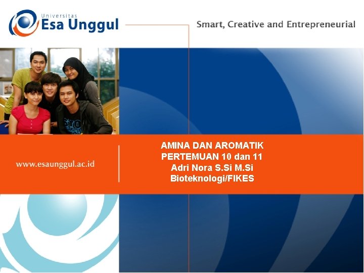 AMINA DAN AROMATIK PERTEMUAN 10 dan 11 Adri Nora S. Si M. Si Bioteknologi/FIKES