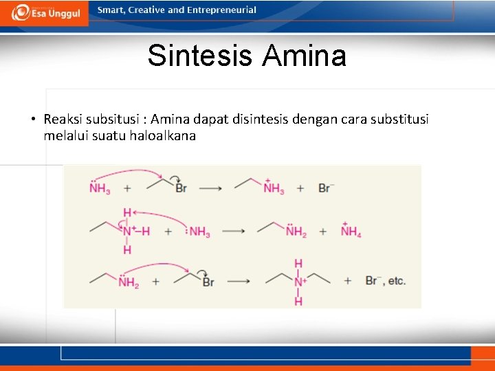 Sintesis Amina • Reaksi subsitusi : Amina dapat disintesis dengan cara substitusi melalui suatu