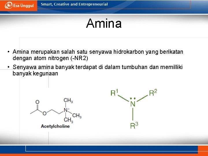 Amina • Amina merupakan salah satu senyawa hidrokarbon yang berikatan dengan atom nitrogen (-NR