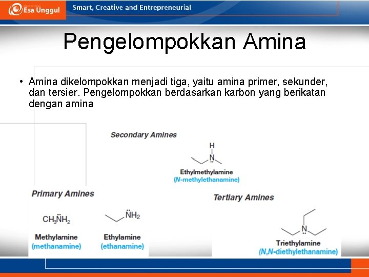 Pengelompokkan Amina • Amina dikelompokkan menjadi tiga, yaitu amina primer, sekunder, dan tersier. Pengelompokkan