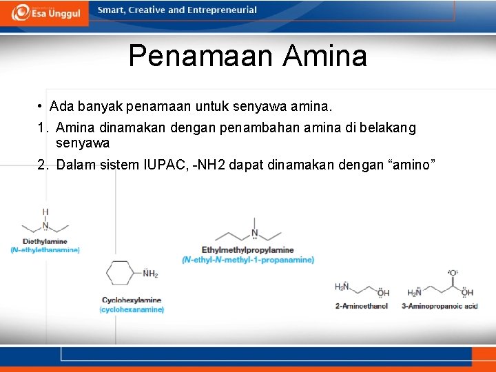 Penamaan Amina • Ada banyak penamaan untuk senyawa amina. 1. Amina dinamakan dengan penambahan