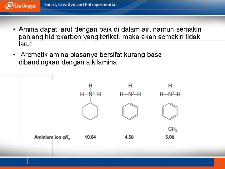  • Amina dapat larut dengan baik di dalam air, namun semakin panjang hidrokarbon