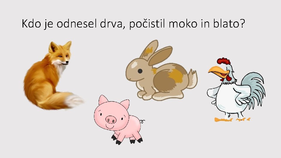 Kdo je odnesel drva, počistil moko in blato? 