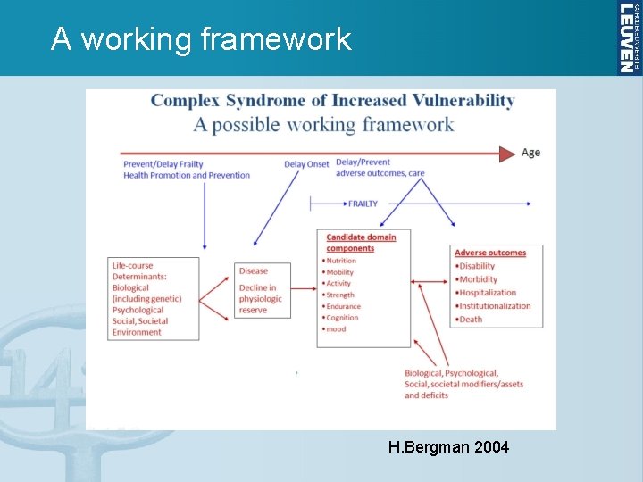 A working framework H. Bergman 2004 