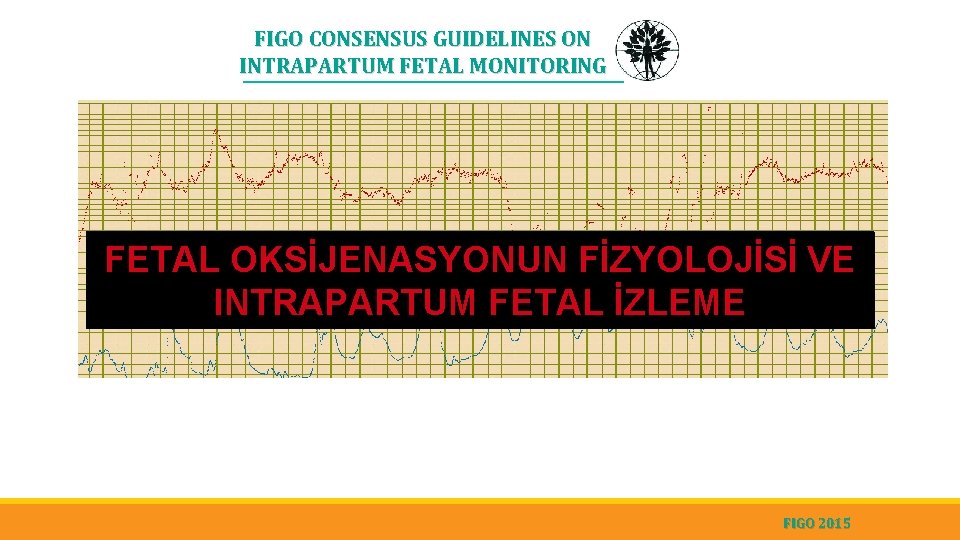 FIGO CONSENSUS GUIDELINES ON INTRAPARTUM FETAL MONITORING FETAL OKSİJENASYONUN FİZYOLOJİSİ VE INTRAPARTUM FETAL İZLEME