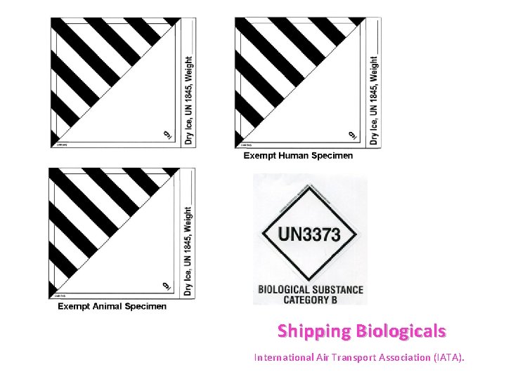 Shipping Biologicals International Air Transport Association (IATA). 