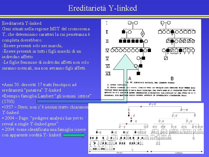 Ereditarietà Y-linked: Geni situati nella regione MSY del cromosoma Y, che determinino caratteri la