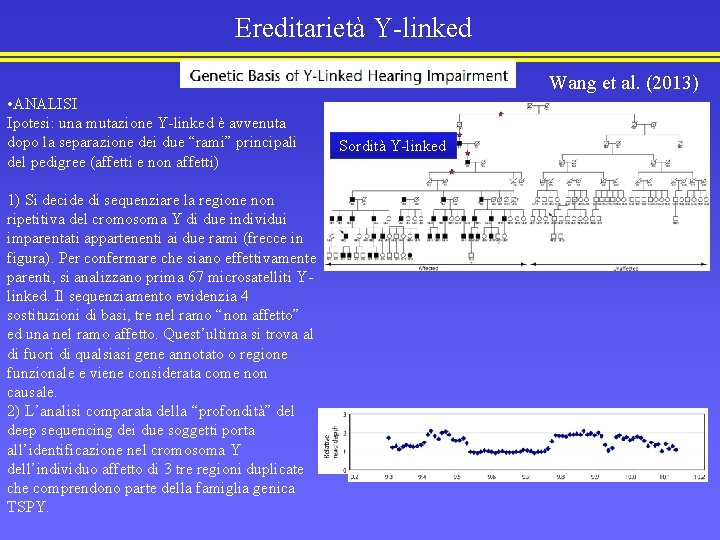 Ereditarietà Y-linked Wang et al. (2013) • ANALISI Ipotesi: una mutazione Y-linked è avvenuta