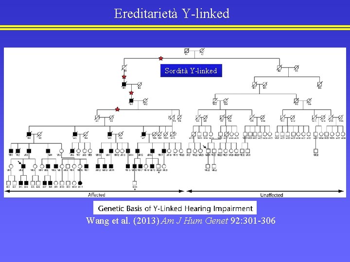 Ereditarietà Y-linked Sordità Y-linked Wang et al. (2013) Am J Hum Genet 92: 301