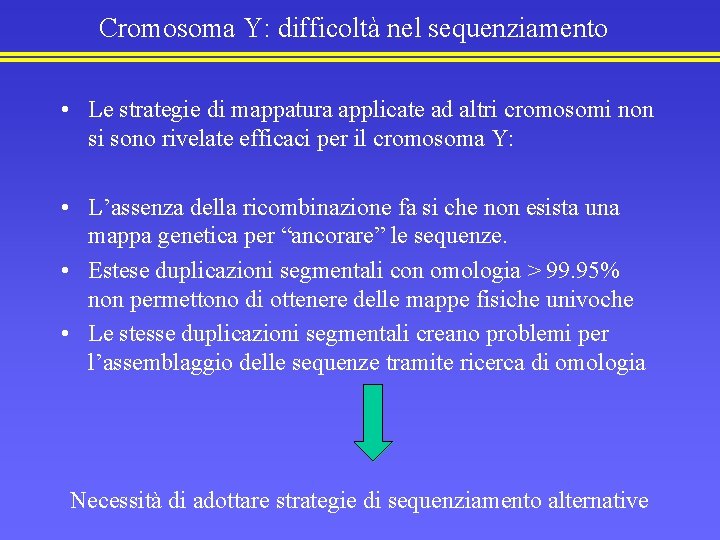 Cromosoma Y: difficoltà nel sequenziamento • Le strategie di mappatura applicate ad altri cromosomi