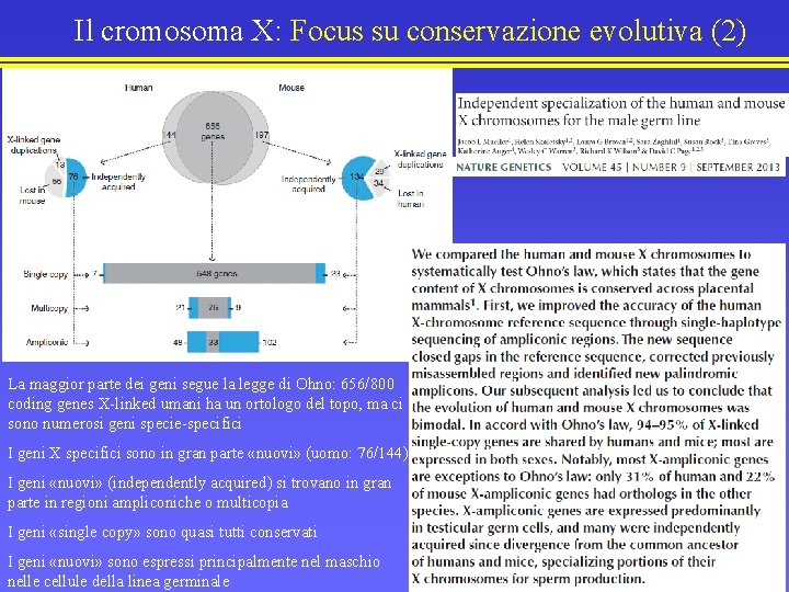 Il cromosoma X: Focus su conservazione evolutiva (2) T La maggior parte dei geni