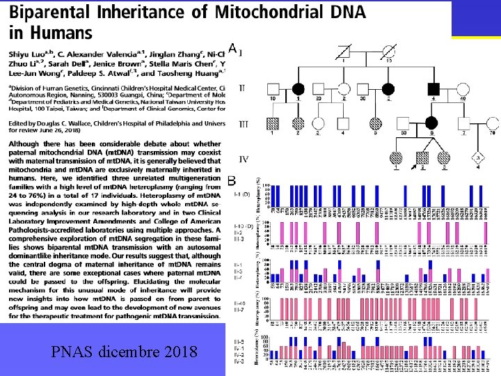 DNA MITOCONDRIALE ED EREDITARIETA’ MATERNA PNAS dicembre 2018 