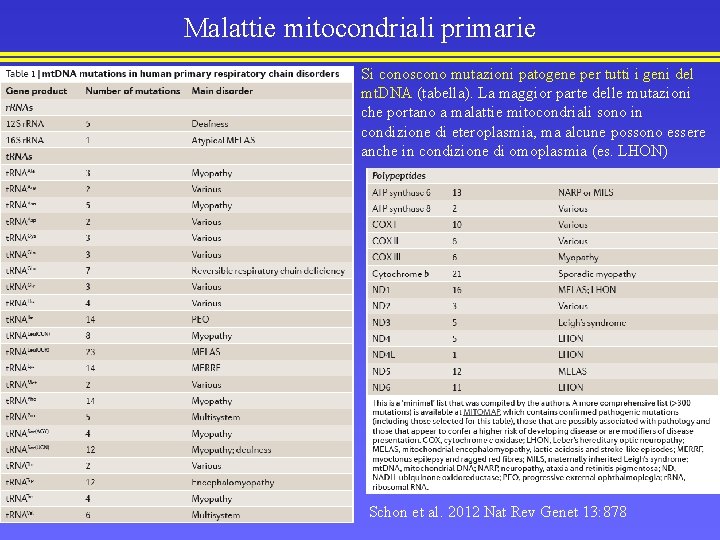 Malattie mitocondriali primarie Si conoscono mutazioni patogene per tutti i geni del mt. DNA