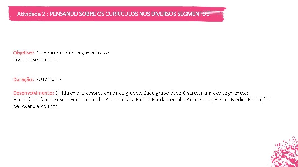 Atividade 2 : PENSANDO SOBRE OS CURRÍCULOS NOS DIVERSOS SEGMENTOS Objetivo: Comparar as diferenças