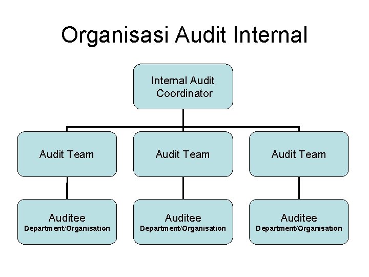 Organisasi Audit Internal Audit Coordinator Audit Team Auditee Department/Organisation 