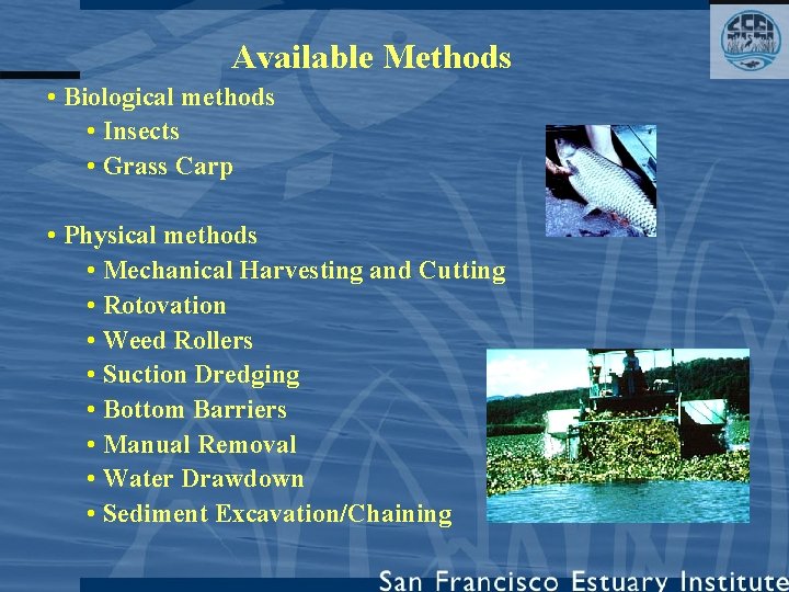 Available Methods • Biological methods • Insects • Grass Carp • Physical methods •