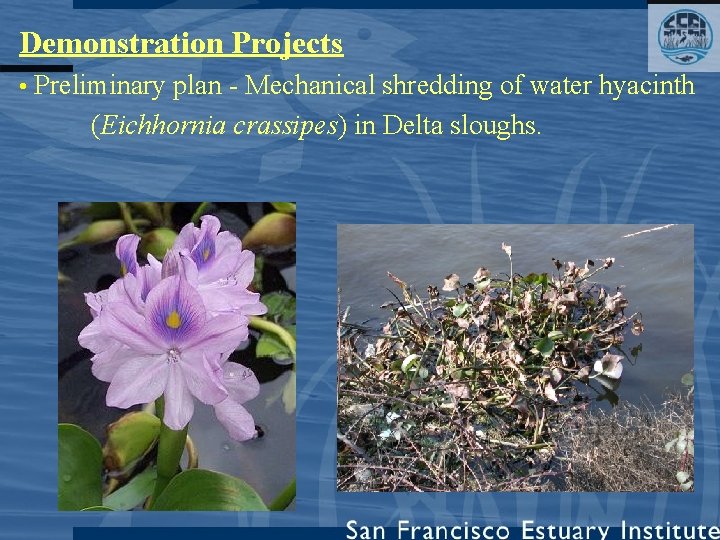 Demonstration Projects • Preliminary plan - Mechanical shredding of water hyacinth (Eichhornia crassipes) in