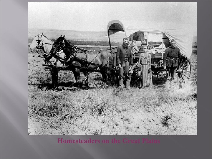 Homesteaders on the Great Plains 