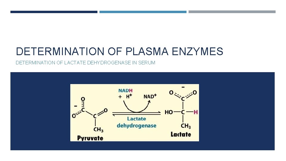 DETERMINATION OF PLASMA ENZYMES DETERMINATION OF LACTATE DEHYDROGENASE IN SERUM 