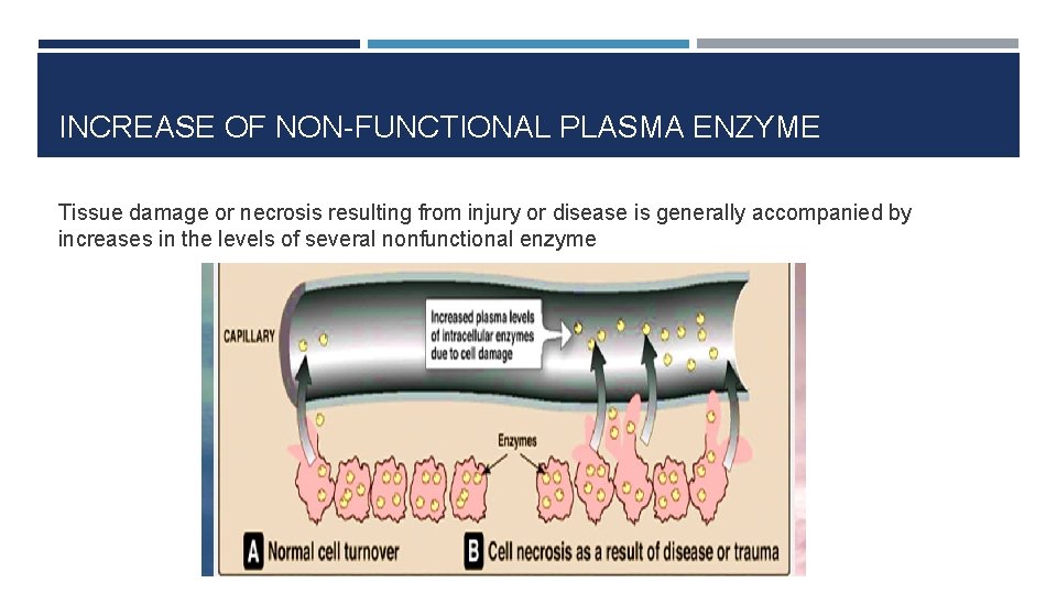 INCREASE OF NON-FUNCTIONAL PLASMA ENZYME Tissue damage or necrosis resulting from injury or disease