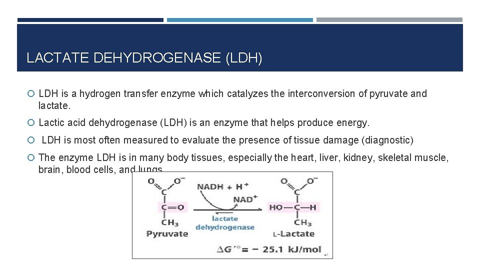 LACTATE DEHYDROGENASE (LDH) LDH is a hydrogen transfer enzyme which catalyzes the interconversion of