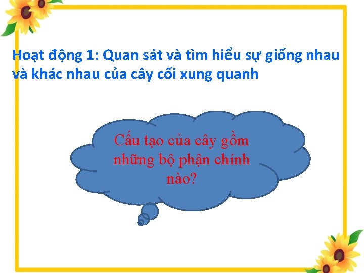 Hoạt động 1: Quan sát và tìm hiểu sự giống nhau và khác nhau