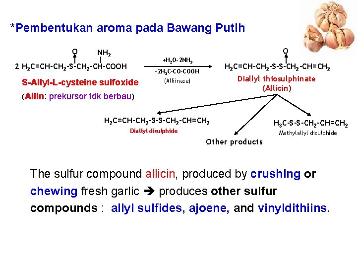 *Pembentukan aroma pada Bawang Putih O O NH 2 +H 2 O-2 NH 3