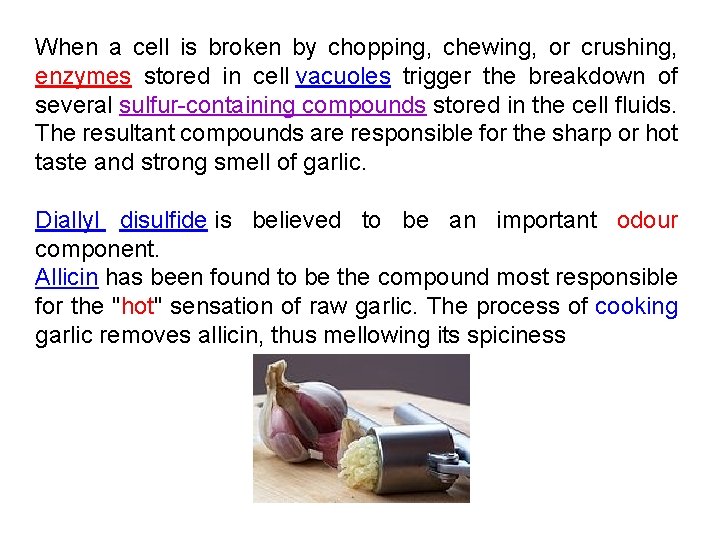 When a cell is broken by chopping, chewing, or crushing, enzymes stored in cell