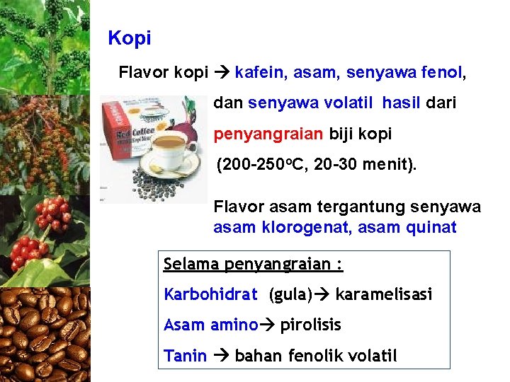 Kopi Flavor kopi kafein, asam, senyawa fenol, dan senyawa volatil hasil dari penyangraian biji