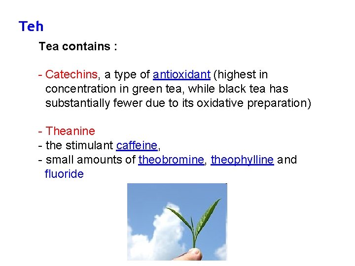 Teh Tea contains : - Catechins, a type of antioxidant (highest in concentration in